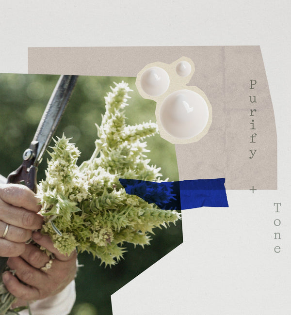 Korres Olympus Tea Foaming Cream Cleanser