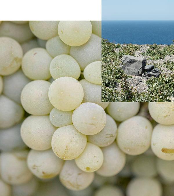 Korres Santorini Grape Velvet Skin Drink
