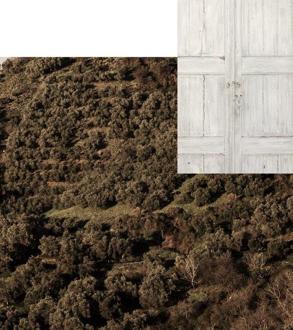 Korres Pure Greek Olive Shower Gel Olive Blossom 1 Liter