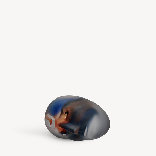 Kosta Boda Brains Inside Matters