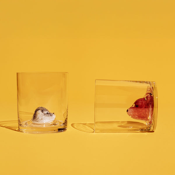 Kosta Boda New Friends Tumbler Bear