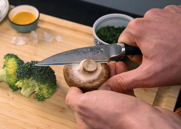 Kotai Paring Knife 90 Mm - Pakka Damascus Collection