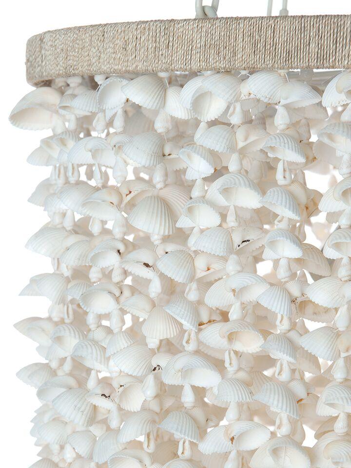 Kouboo Drum Clamrose Seashell Pendant Lamp