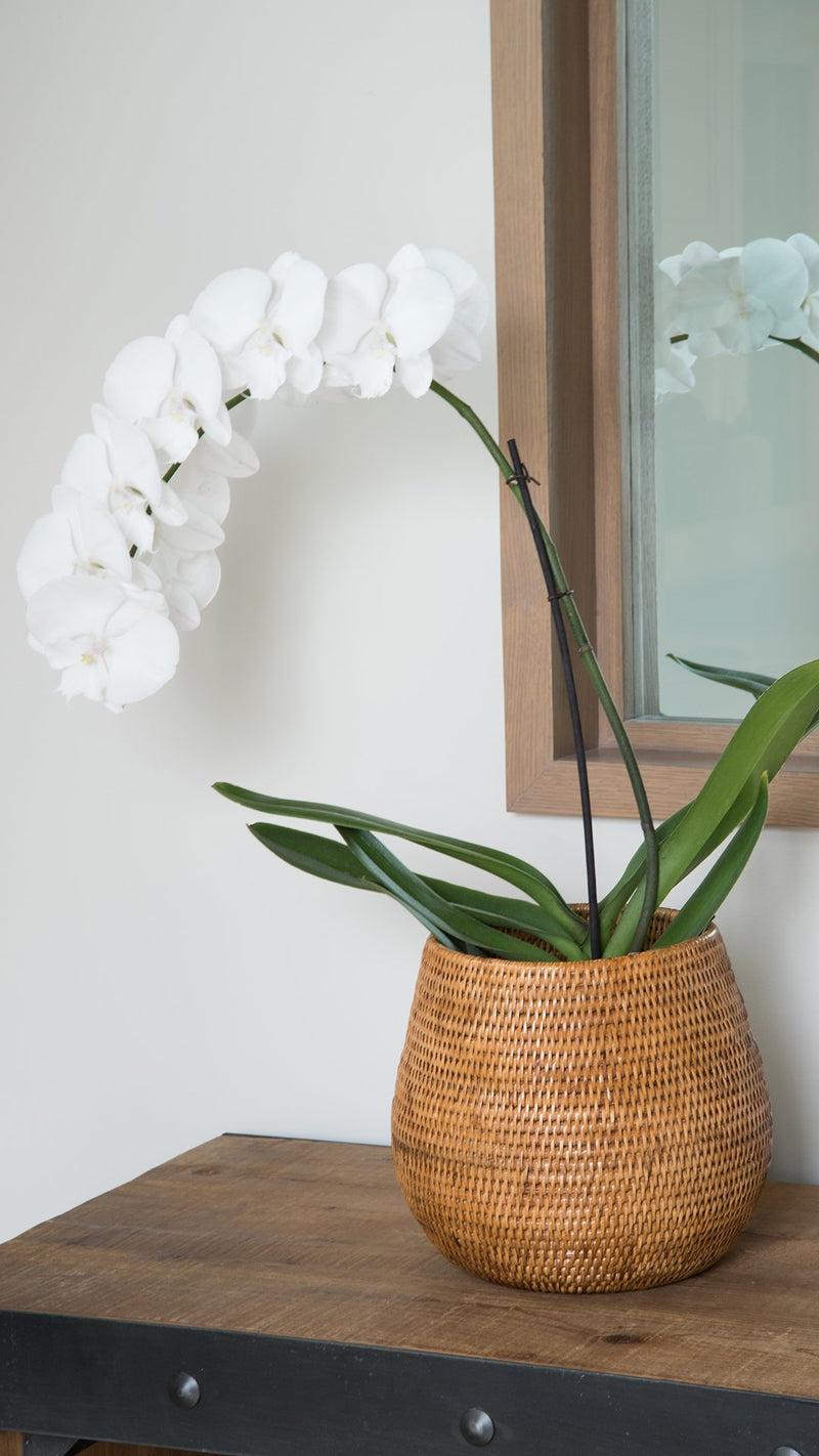 Kouboo La Jolla Coco Rattan Planter And Bowl