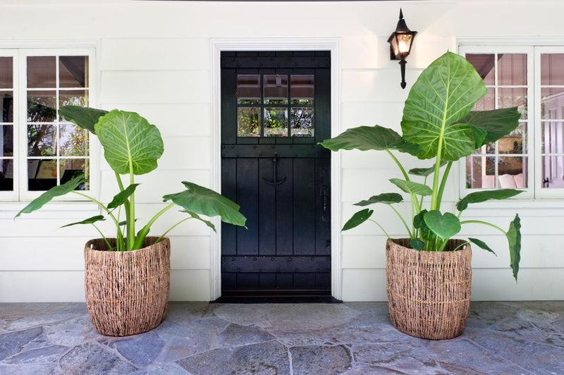 Kouboo Madras Indoor Planter/Large Basket