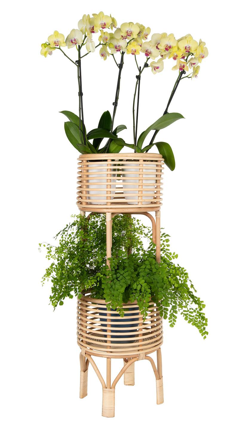 Kouboo Rattan Indoor Two-Tier Plant Stand Natural