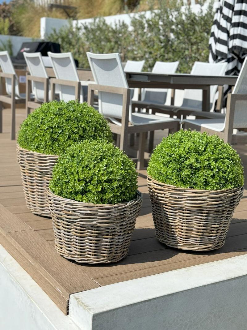 Kouboo Rattan Kobo Conical Indoor & Outdoor Planter Basket With Plastic Pot