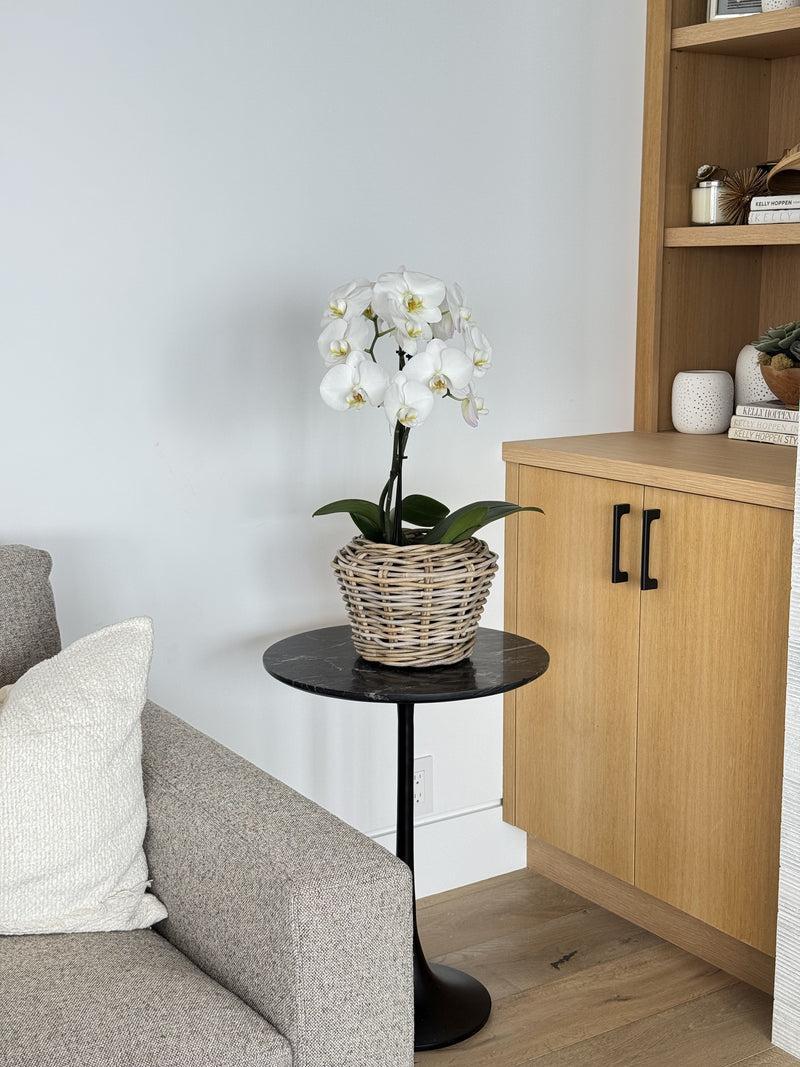 Kouboo Rattan Kobo Indoor & Outdoor Planter Basket With Plastic Pot