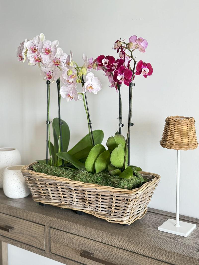 Kouboo Rectangular Kobo Rattan Indoor And Outdoor Planter Basket - 2.5 Gallon Capacity Plastic Pot Liner