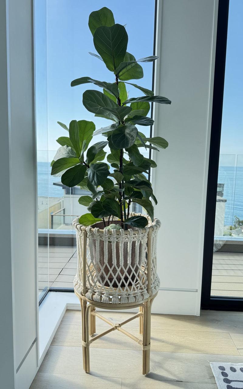 Kouboo Round Rattan Planter Stand With Handmade White Cotton Rope Macrame For Indoor Use