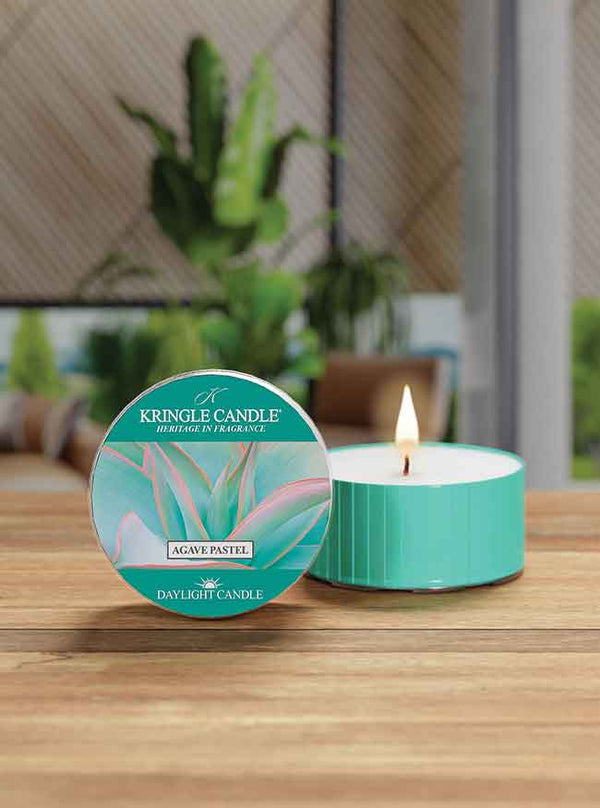 Kringle Candle Agave Pastel DayLight