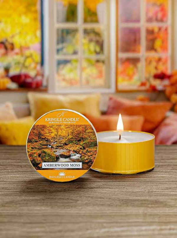 Kringle Candle Amberwood Moss DayLight
