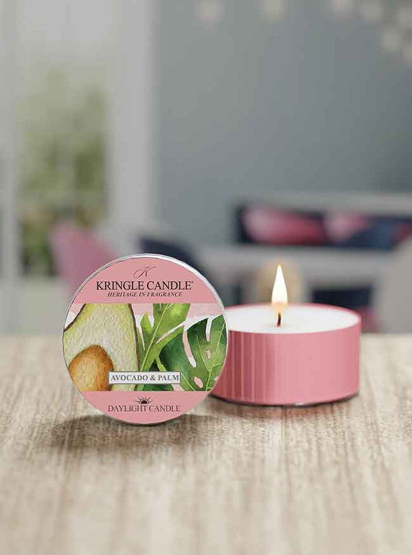 Kringle Candle Avocado & Palm DayLight