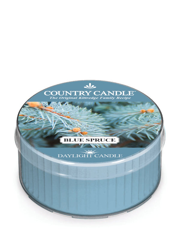 kringle candle Blue Spruce DayLight