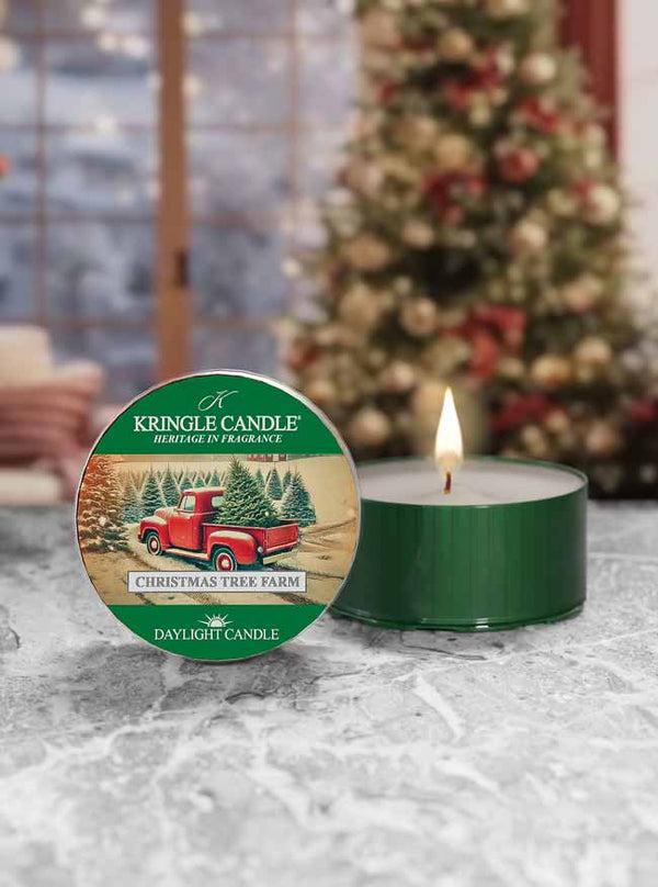 Kringle Candle Christmas Tree Farm DayLight