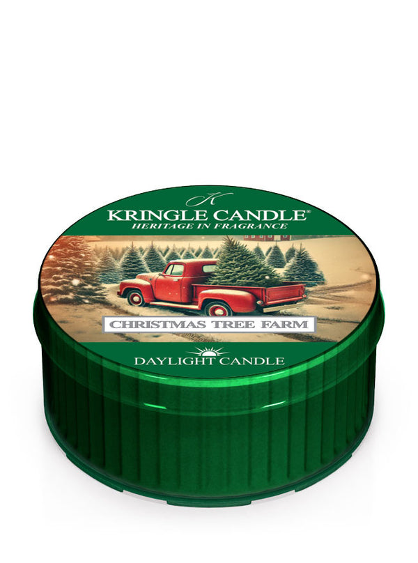 kringle candle Christmas Tree Farm DayLight