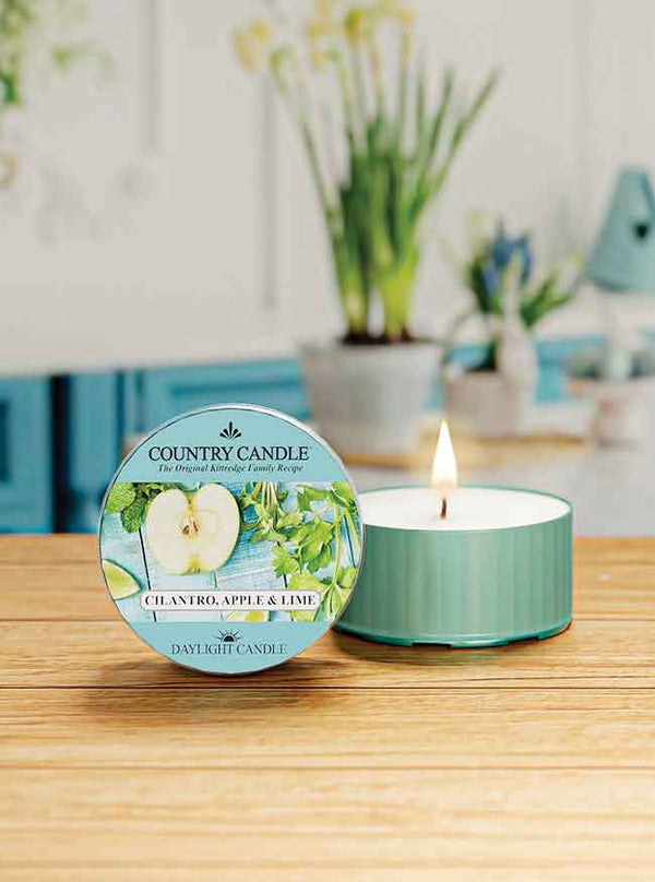 Kringle Candle Cilantro Apple & Lime DayLight
