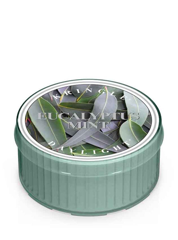 kringle candle Eucalyptus Mint DayLight