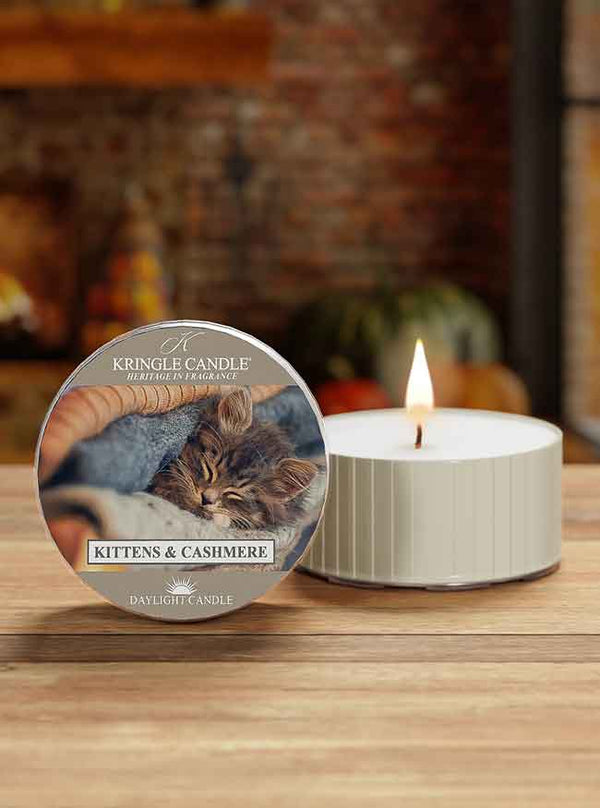Kringle Candle Kittens & Cashmere DayLight