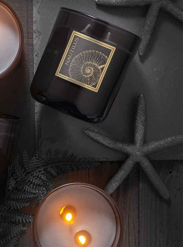 Kringle Candle Nautilus