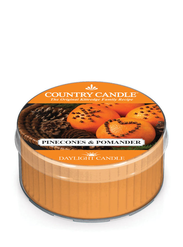 kringle candle Pinecones & Pomander DayLight