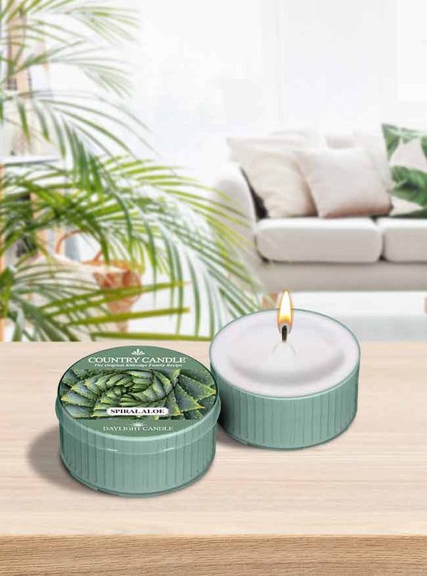 Kringle Candle Spiral Aloe DayLight