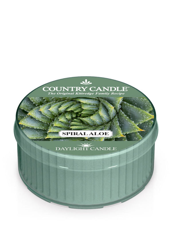 kringle candle Spiral Aloe DayLight