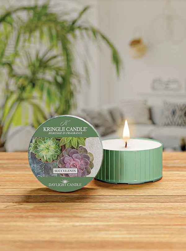 Kringle Candle Succulents DayLight