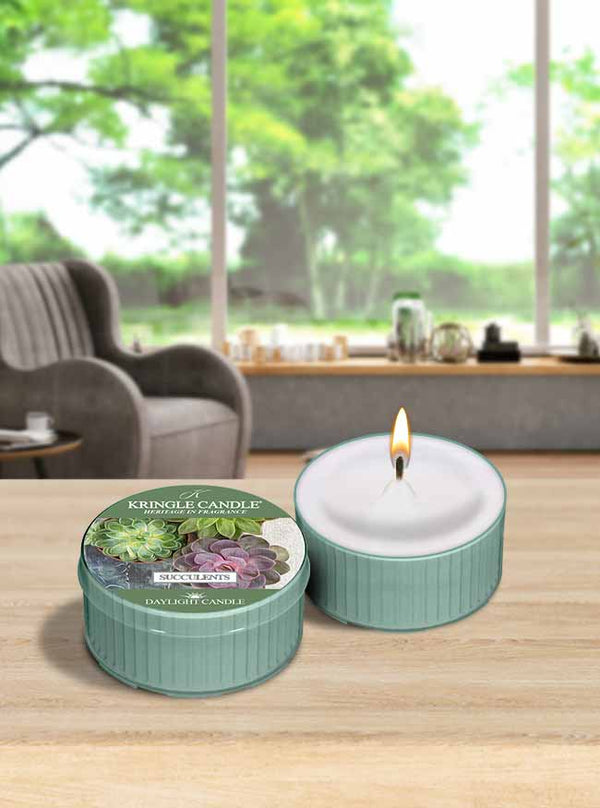 Kringle Candle Succulents DayLight