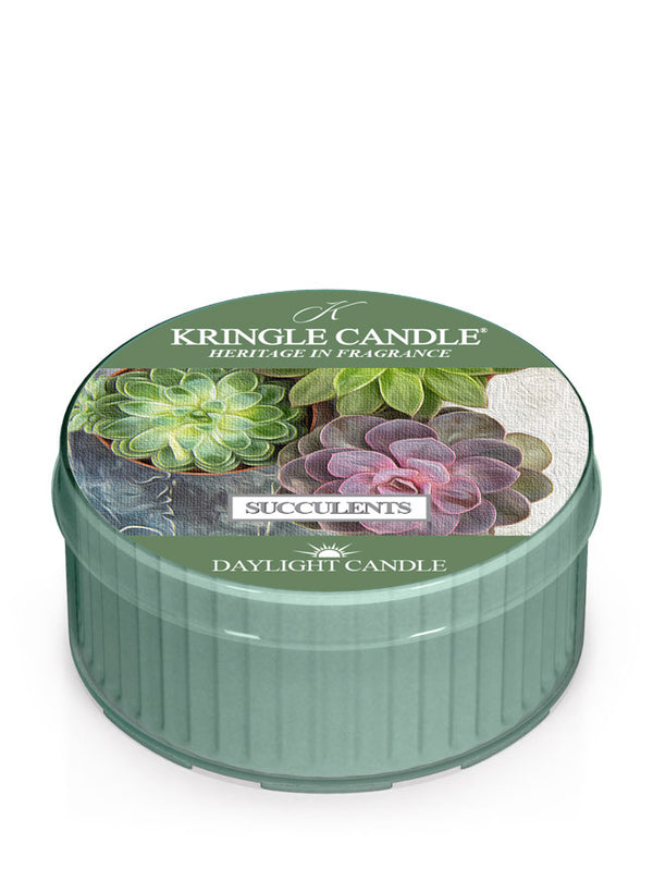 kringle candle Succulents DayLight