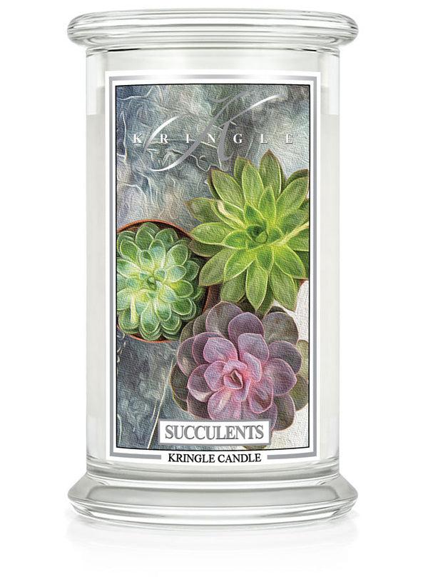 kringle candle Succulents Large 2-wick