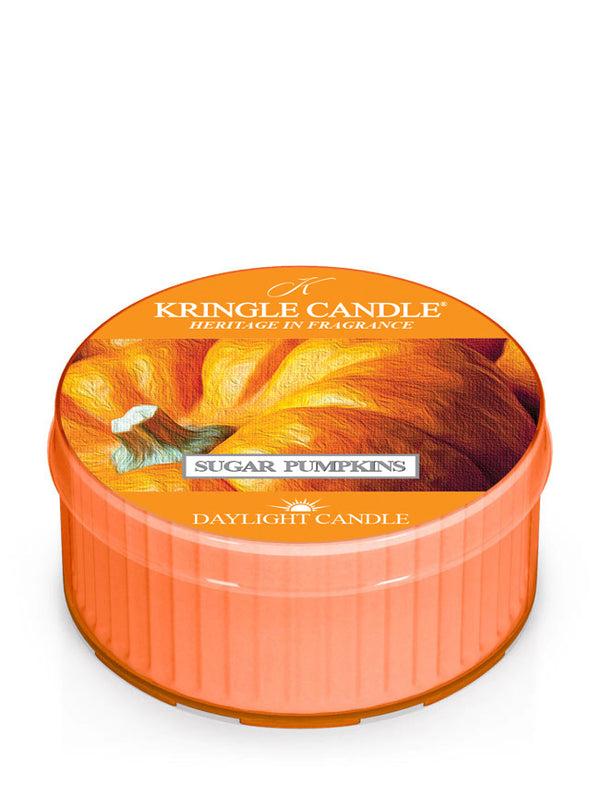 kringle candle Sugar Pumpkins DayLight