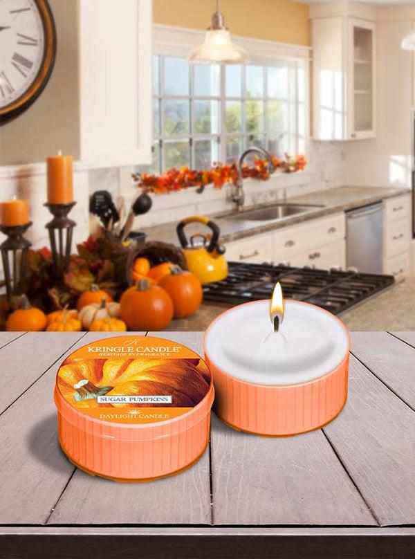 Kringle Candle Sugar Pumpkins DayLight