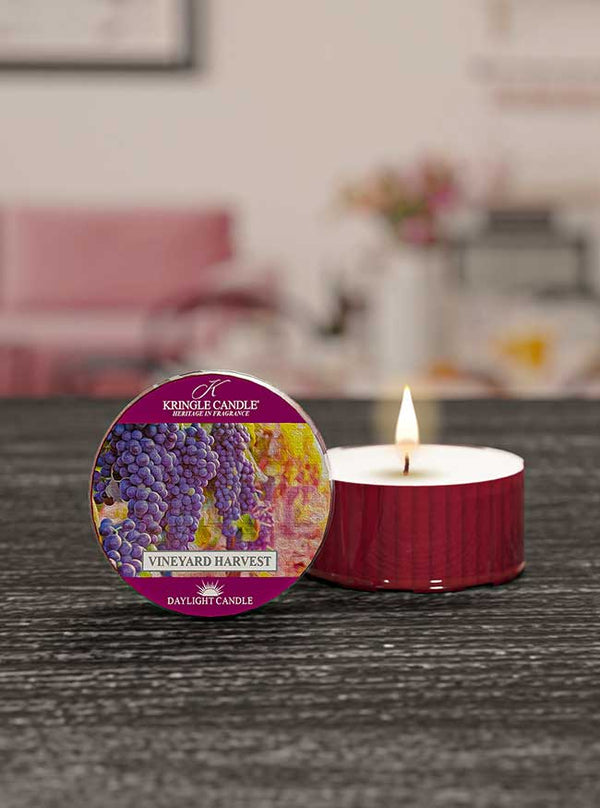 Kringle Candle Vineyard Harvest DayLight
