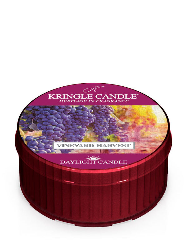 kringle candle Vineyard Harvest DayLight