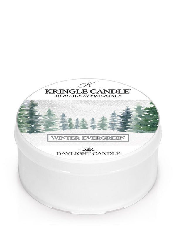 kringle candle Winter Evergreen DayLight