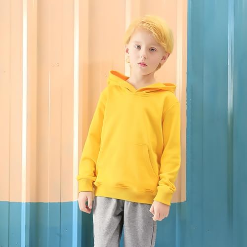 AIWUHE Toddler Boys Girls Hooded Sweatshirt Solid Pullovers Long Sleeve Hoodie Kids Cotton Crewneck Fall Tops 2-6Y Blouse