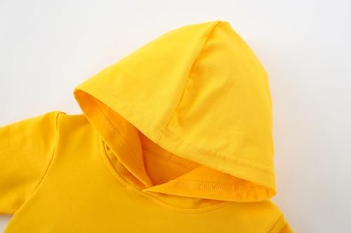 AIWUHE Toddler Boys Girls Hooded Sweatshirt Solid Pullovers Long Sleeve Hoodie Kids Cotton Crewneck Fall Tops 2-6Y Blouse