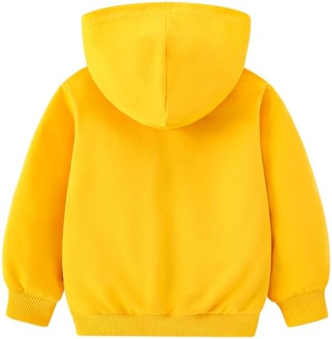 AIWUHE Toddler Boys Girls Hooded Sweatshirt Solid Pullovers Long Sleeve Hoodie Kids Cotton Crewneck Fall Tops 2-6Y Blouse