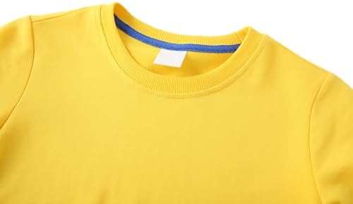 AIWUHE Toddler Boys Girls Solid Pullovers Sweatshirt Long Sleeve T-Shirt Kids Cotton Crewneck Thin Tops 1-8 Years Blouse