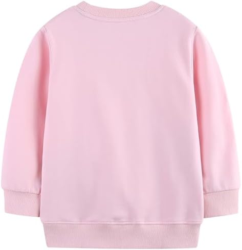 AIWUHE Toddler Boys Girls Sweatshirt Crewneck Pullover Long Sleeve Tops Blouse Cotton T-Shirt Fall Winter Clothes 2-6Y