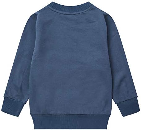 Akyzic Boy Dinosaur Sweatshirts Toddler Long Sleeve Cotton Space Pullover Cartoon T-Shirts Sport Top Tee For Kids 2-7T