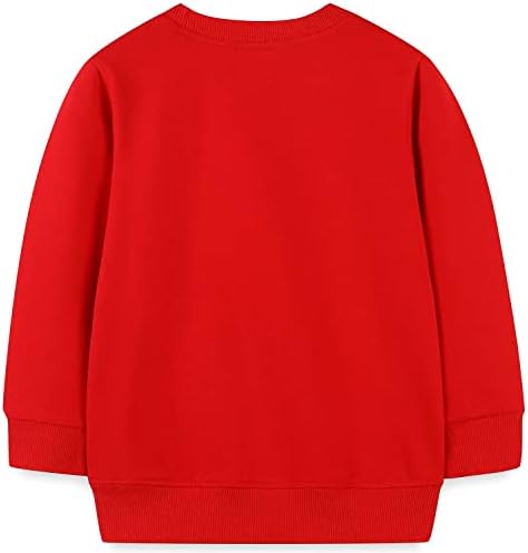 Bumeex Toddler Boy's Kids Crewneck Pullover Sweatshirts 2-7Year
