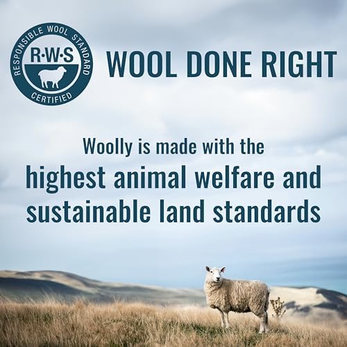 Men's Merino Boxers By Woolly RWS Certified Soft Stink Free Seattle Designed