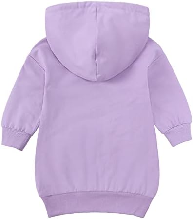 Toddler Baby Girls Long Sleeve Hoodies Dress Fall Trendy Fleece Sweatshirts Outfits Hooded Dresses With Pockets