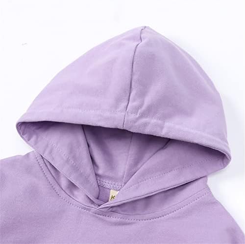 Toddler Baby Girls Long Sleeve Hoodies Dress Fall Trendy Fleece Sweatshirts Outfits Hooded Dresses With Pockets