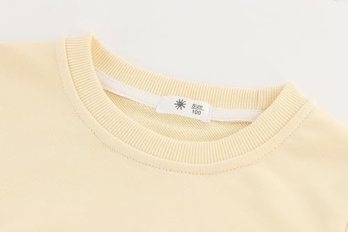 Toddler Crewneck Sweatshirts Solid Pullover Tops For Girls Or Boys
