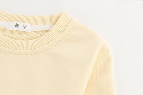 Toddler Crewneck Sweatshirts Solid Pullover Tops For Girls Or Boys