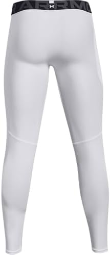 Under Armour Men's HeatGear Armour Leggings