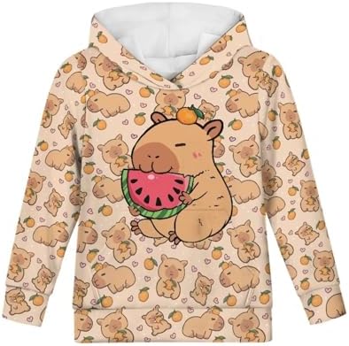 WELLFLYHOM Hoodies For Boys Girls Youth Kids Hooded Pullover Long Sleeve Sweatshirts